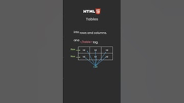 HTML Tables Explained for Beginners