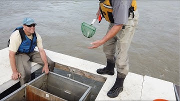 Understanding the interactions of fish with renewable energy in Alaska rivers