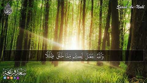 تلاوة هادئة تريح القلب💚 راحة نفسية 💚 القران شفاء الروح    سورة النحل #سعد فريجة Surah An Nahl