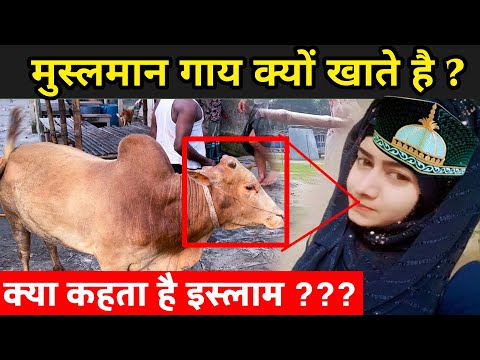 वीडियो: क्या टैबर्ड खाते विस्तृत हैं?