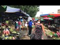 Comprando pellejos de cochino para hacer con frijoles 🐷