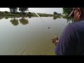 Fish hunting || unique fishing catching the incridibul big catfish