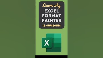 How to use an excel format painter !#excel #exceltips #exceltricks #spreadsheets #formatpainter