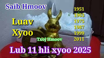 See what the 11th month of the year of the Rabbit 2025 will be like | Pajkws Yag |