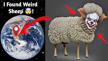 I Found Weird sheep 🐑🤯 on google maps and google earth 🌎 #shots #hrgoogleearth