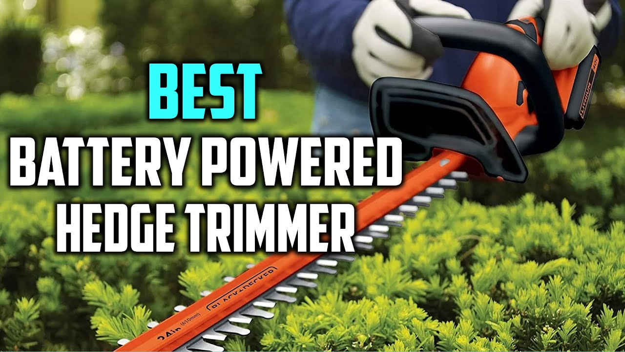 Top 8 Best Battery Powered Hedge Trimmers Review in 2023 - YouTube