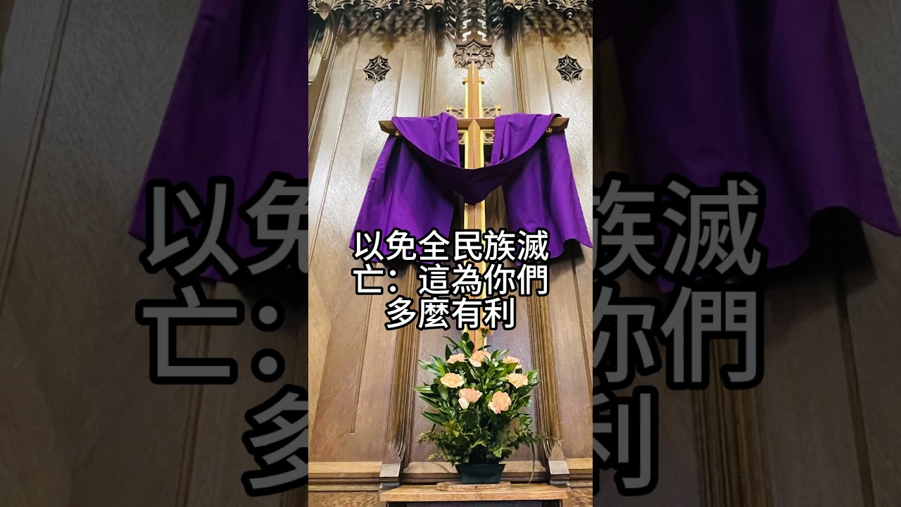 03/28   恭讀聖若望福音　11:45-56   耶穌使那四散的天主子女都聚集歸一。