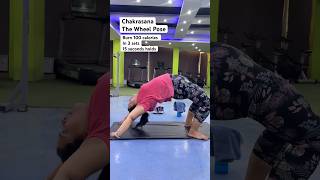 Chakrasana | The Wheel pose| Improve Digestion #yoga #gym #homeworkout #fitness #flexibilitytraining