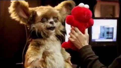 The most expressive and adorable robot in the world. Leonardo