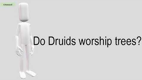 Do Druids Worship Trees?