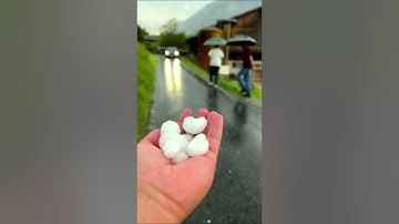 انس المالك…تلاوة خاشعة