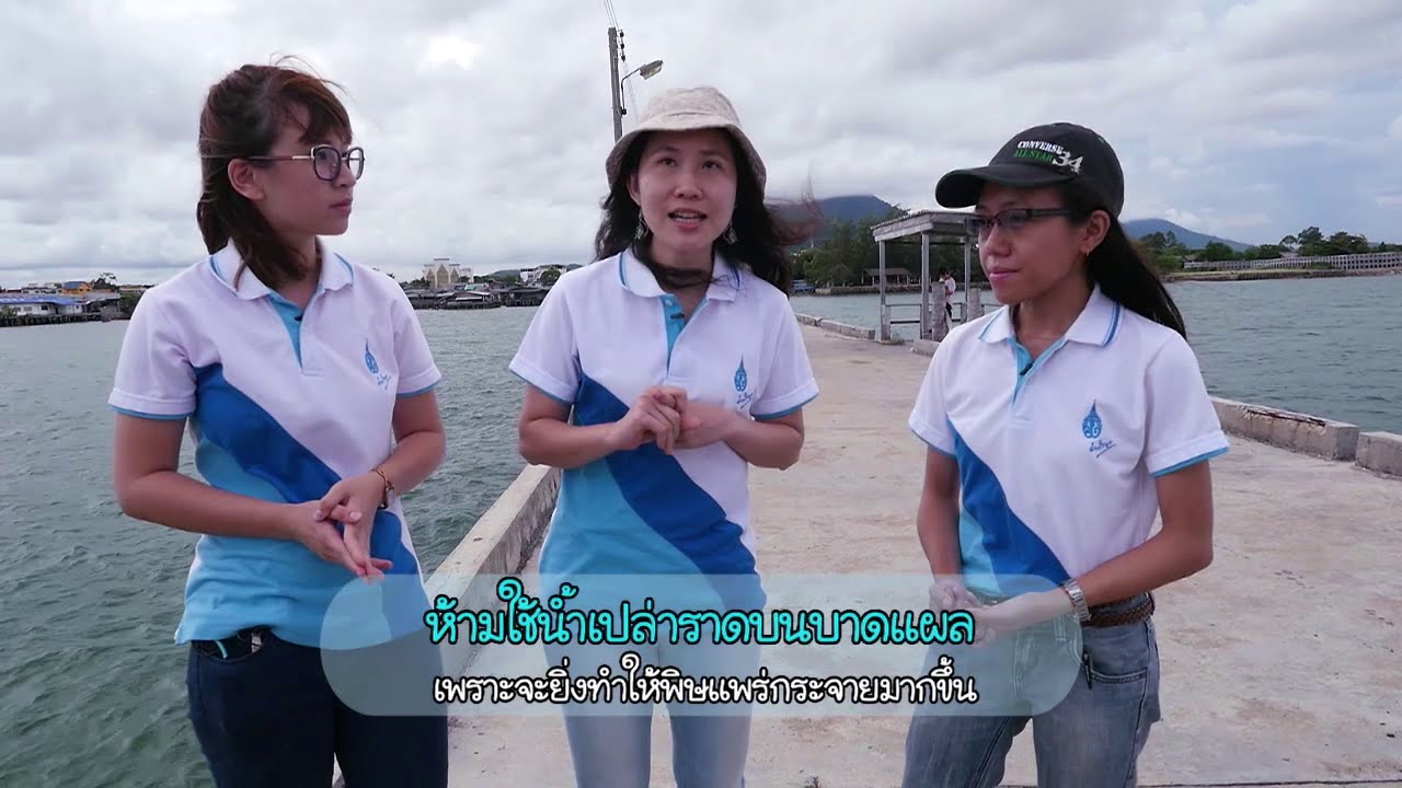 [Clip] Animals speak [by Mahidol] น้ำเปล่า โซดา ทำไมห้ามใช้เด็ดขาด เมื่อถูกพิษแมงกะพรุน