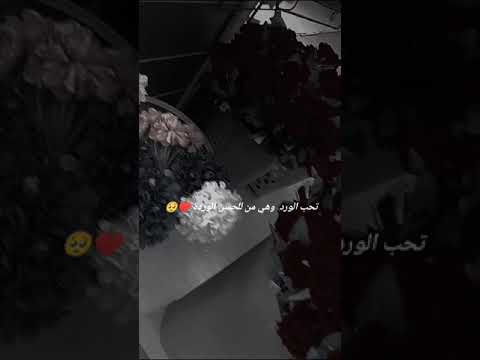 فيديوهات عن الورد حالات واتساب