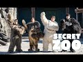 Secret Zoo Official Movie Trailer 2020