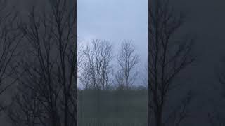 #aprilshower #springstorms
