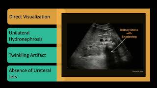 POCUS for Kidneys & Bladder | Hydronephrosis, Stones & Urinary Retention Made Simple
