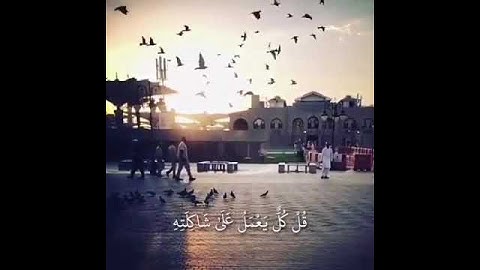 قرآن كريم بصوت ناصر القطامي حالات واتس