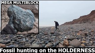 #fossilhunting on the Holderness coast - Holmpton with @Ammonites