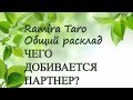 ЧЕГО ДОБИВАЕТСЯ ПАРТНЕР?