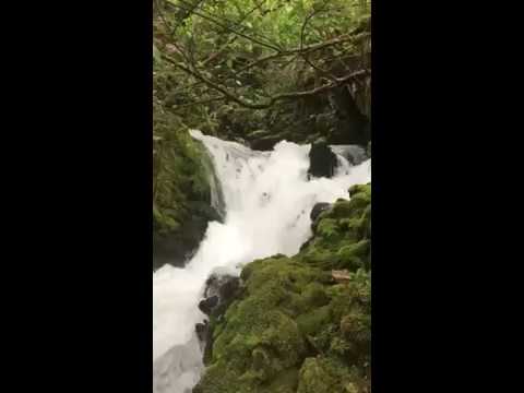 ვიდეო: უნიკალური მდინარე ჩიკოი ტრანს-ბაიკალის ტერიტორიაზე