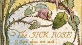 the sick rose questions and answers