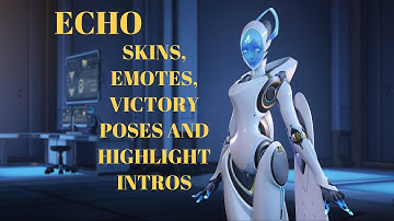 Overwatch - Echo Skins, Emotes, Victory Poses and Highlight Intros
