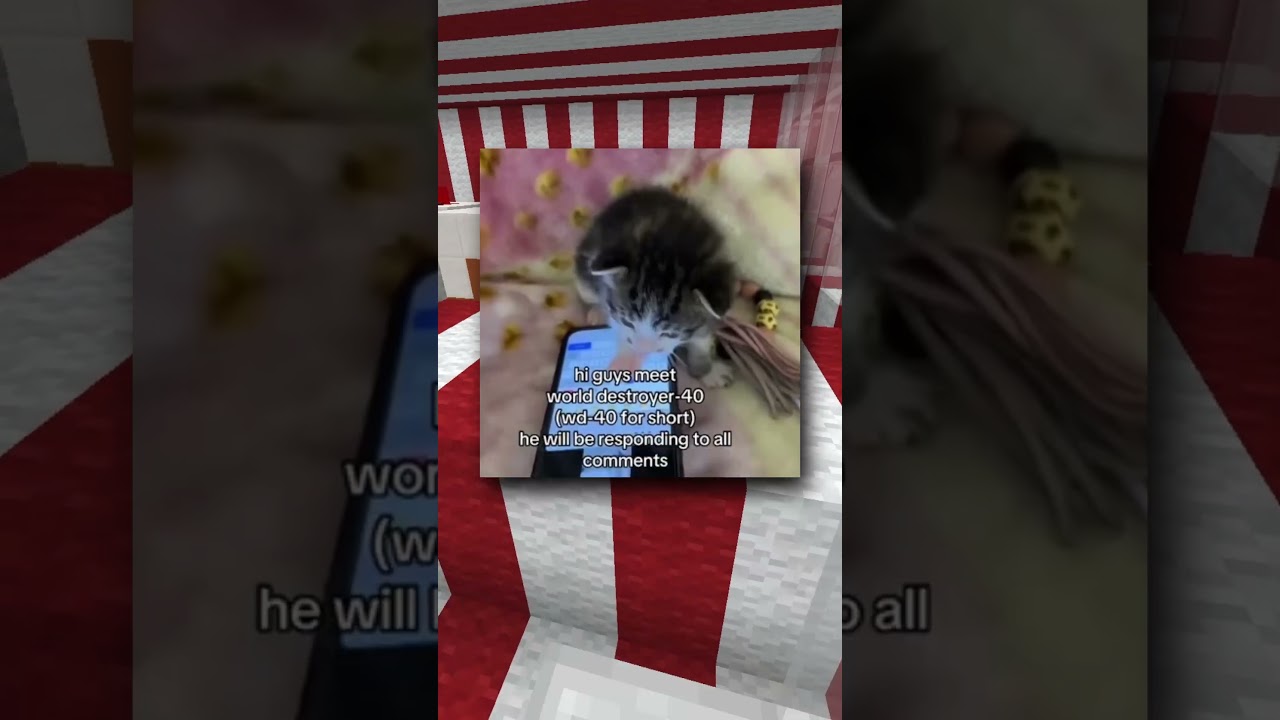 Встречайте Разрушитель Мира-40