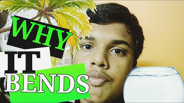 WHY DO COCONUTS BEND TOWARDS WATER?