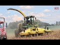 JOHN DEERE 7780 Pro-Drive Forage Harvester Chopping Corn