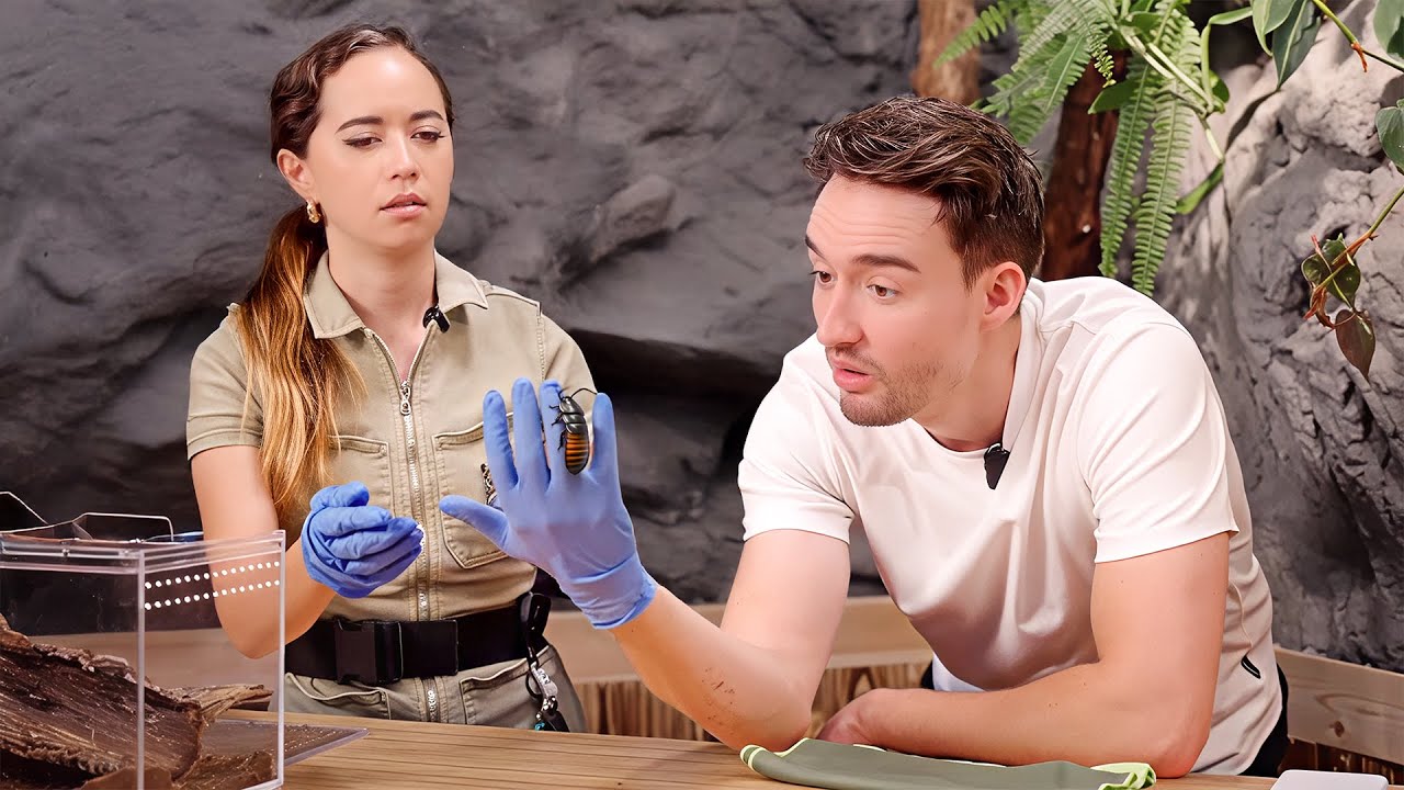 She Made Me Love Bugs ft.@mayahiga @AlveusSanctuary