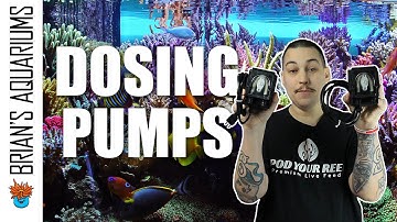 BRS Dosing Pump Setup Guide - Saltwater Aquarium Tips for Beginners