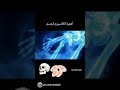 أهمية الكالسيوم في الجسم