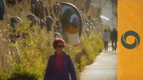 Postcards from Lyon: Rives de Saône