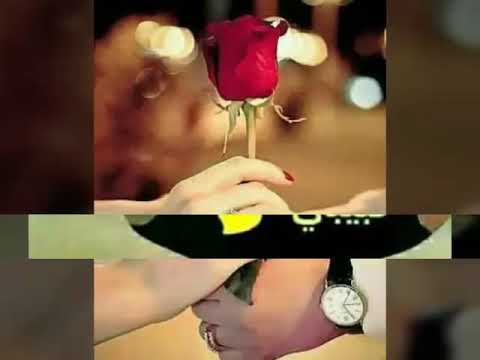 سعد مجرد انا مالي