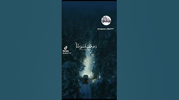 تلاوة شجيه من القارئ صلاح المصلي