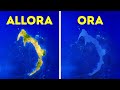 Gli scienziati hanno finalmente mappato il leggendario continente perduto