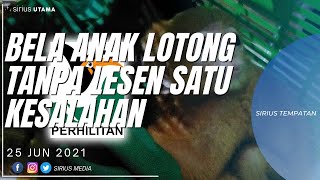 Download Lagu BELA ANAK LONTONG TANPA LESEN SATU KESALAHAN | TEMPATAN MP3