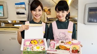 4,752 First Cl Business Cl Hello Kitty Plane On Eva Air Royal Laurel