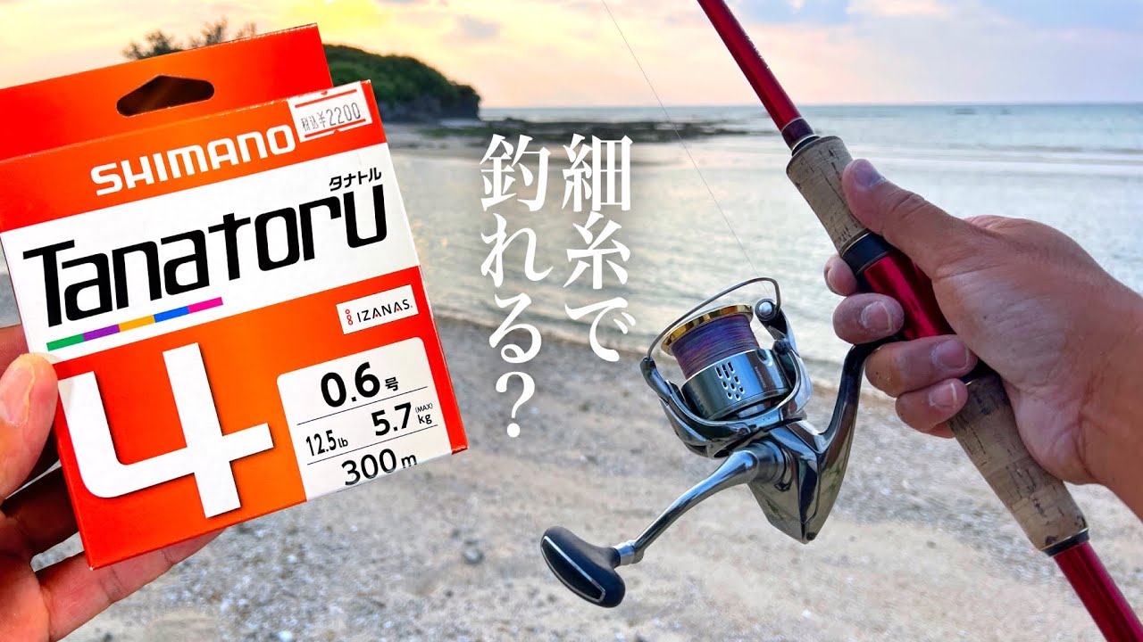 How many fish can I catch using thin line? - YouTube