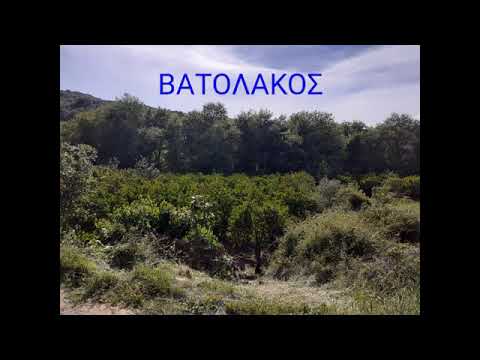 Βατολακος
