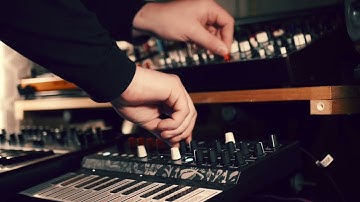 Behringer Cat // Behringer Model D // Arturia Microfreak - Mid Tempo