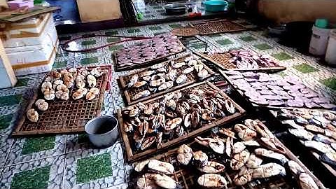 Đột nhập lò nướng cá thu, đầu nậu phân phối đi các chợ ở Cửa lò, Nghệ An.