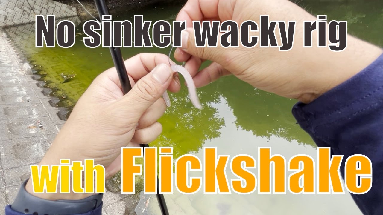 【Bass fishing】No sinker wacky rig with Flickshake【Jackall】