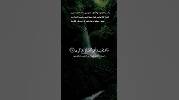 اكتشف نعمة السكينة والهدوء من خلال تلاوة القرآن الكريم #اكسبلور #القرآن_الكريم #الرحمن #المصحف