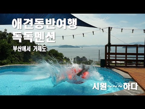 /거제도 애견펜션/독독애견펜션/가조도애견펜션/애견동반여행/ 강아지수영장/<strong>부산애견펜션</strong> 거제도여행