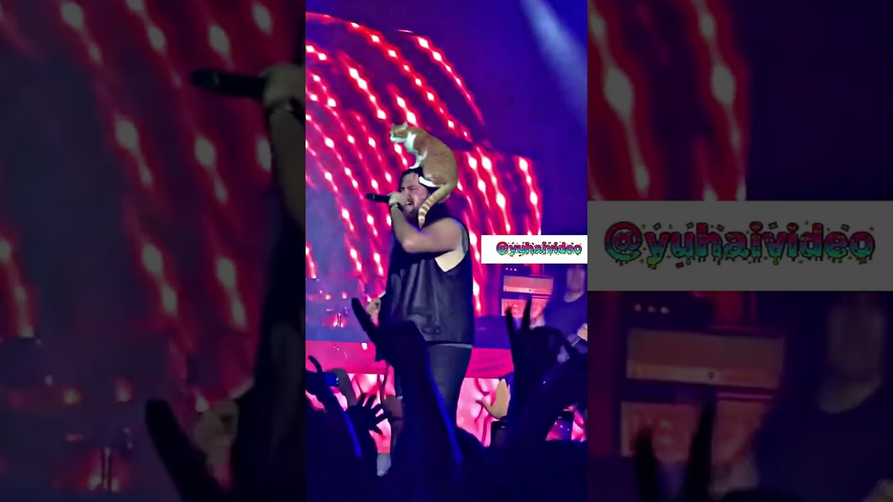 Solistin Tepesinde Kedi! Metal Konserinde Unutulmaz Anlar