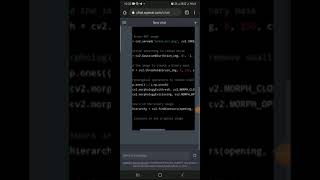 Celebrity Python code writing for Bain Tumor Segmentation using Chat GPT Net Worth