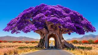 10 the Most Unique and Rare Plants That Will Make You Want to Own Them | How Did God Create These?
