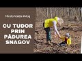 Mirela Vaida - ‼️PADUREA SNAGOV SE TAIE‼️ Cu acordul Statului! Pentru "regenerare"! O fi bine?