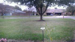 Lapse it pro Test 2
